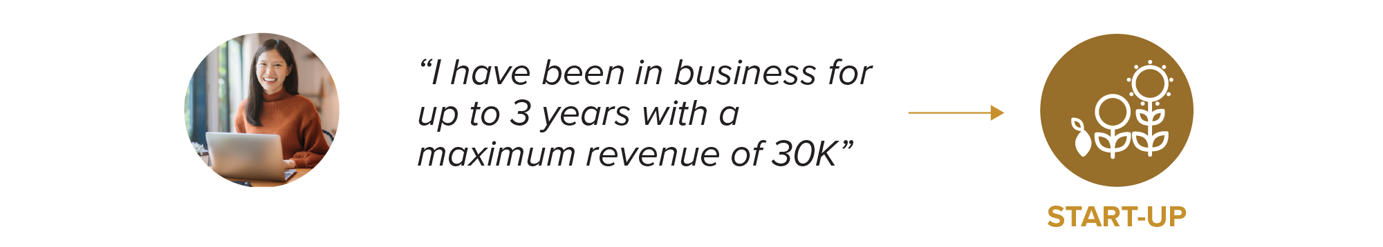 image of a woman on a laptop with a quote beside her that says "I have been in business for up to 3 years with a maximum revenue of 30k" with a small arrow to a small graphic icon with the title "start-up". the icon is a graphic image of three flowers in various stages of growth.