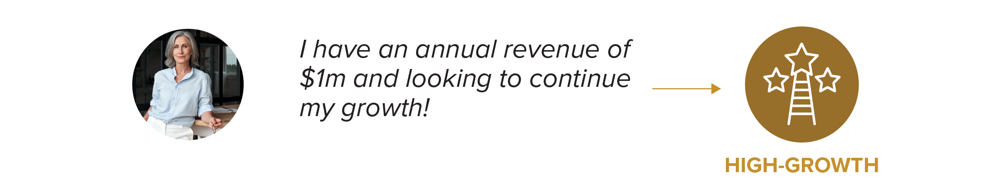image of a woman with a quote beside her that says "I have an annual revenue of $1m and looking to continue my growth" with a small arrow to a small graphic icon with the title "high-growth". the icon is a graphic image of a ladder with stars at the top.