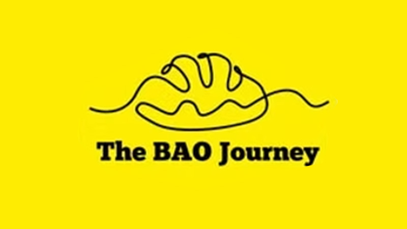 The BAO Journey